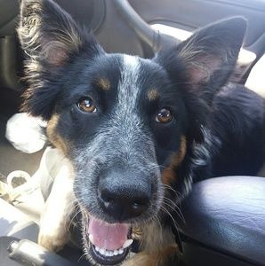 Meet your Posher, Kerith